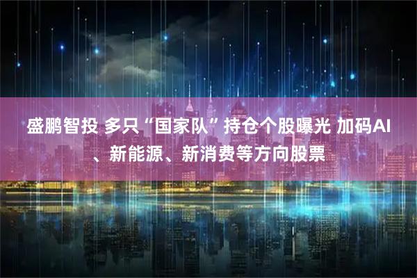 盛鹏智投 多只“国家队”持仓个股曝光 加码AI、新能源、新消费等方向股票