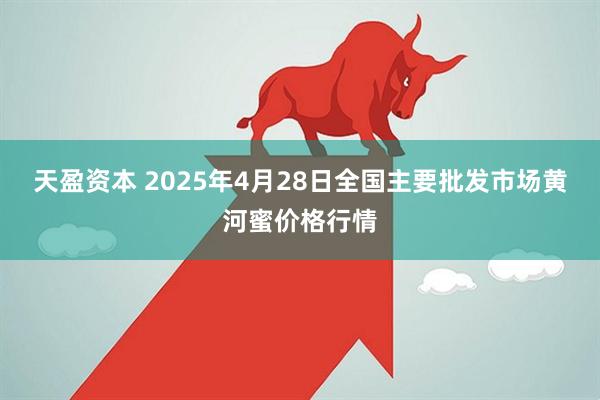 天盈资本 2025年4月28日全国主要批发市场黄河蜜价格行情