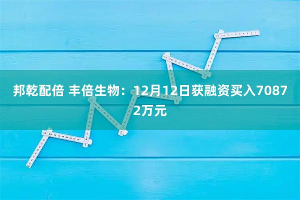 邦乾配倍 丰倍生物:12月12日获融资买入70872万元